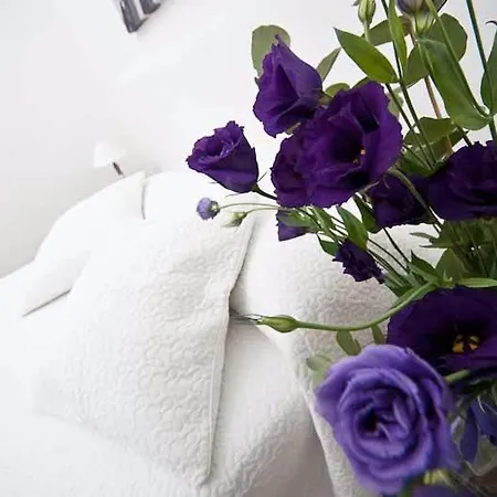 Comfortable Very Close To The Vatican Free Wifi No123