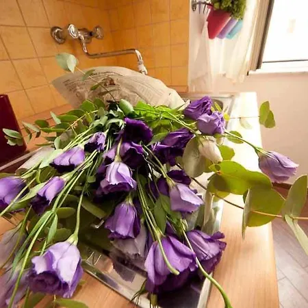 Comfortable Very Close To The Vatican Free Wifi No123 *